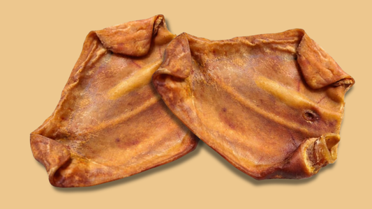 Are Pig Ears Good for Dogs?