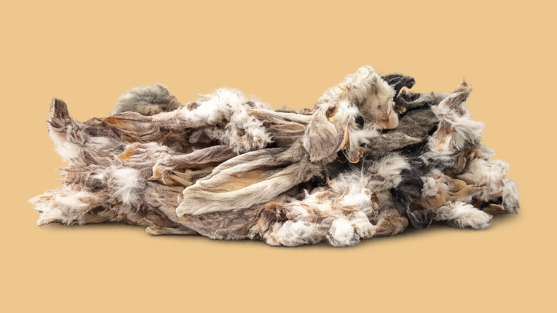 Are Rabbit Ears Good for Dogs?