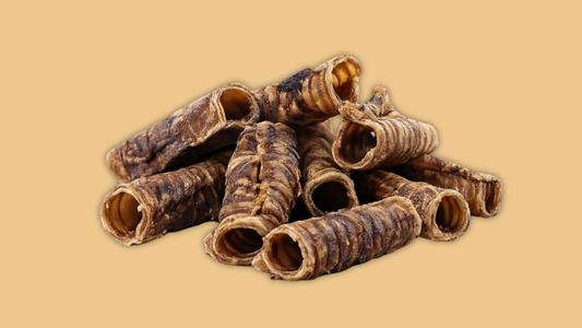 A Pile of Beef Trachea from Feather and Fur