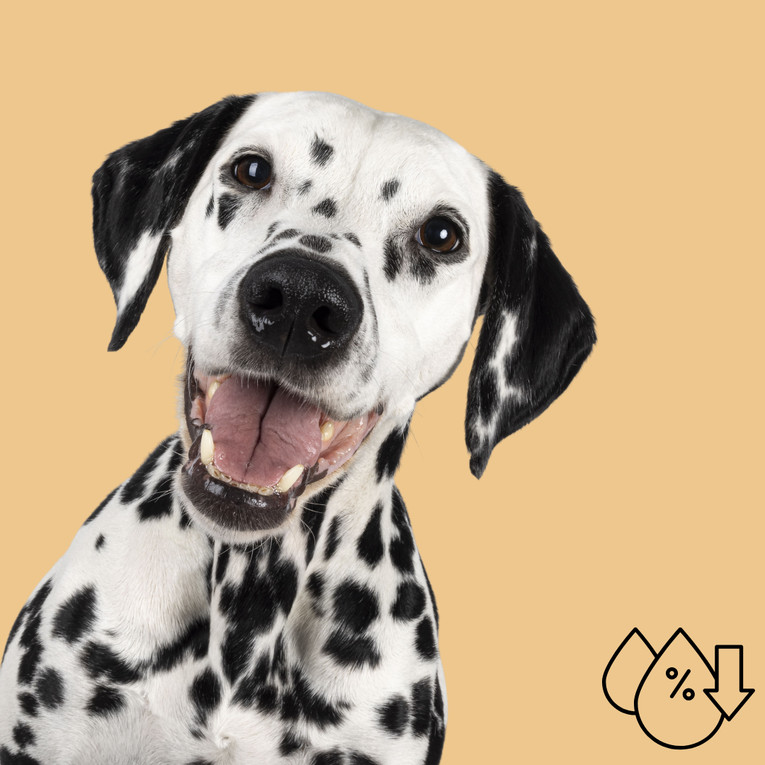 Low-Fat Dog Treats