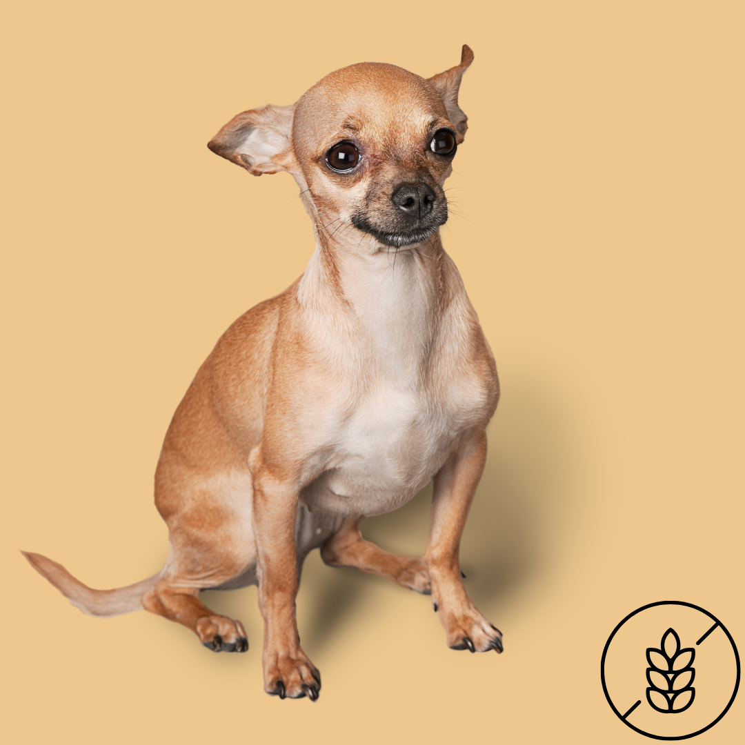Grain-Free Dog Treats