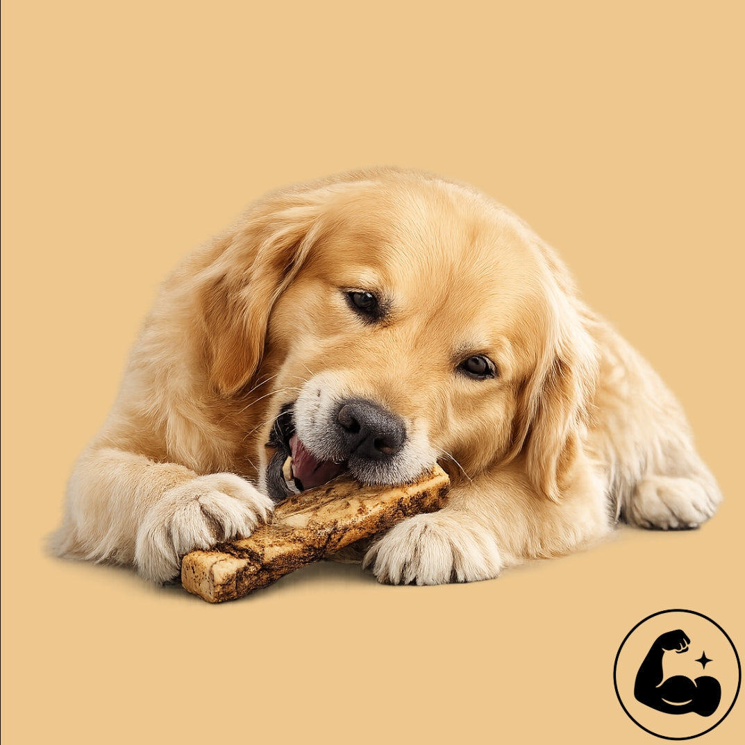 High-Protein Dog Treats