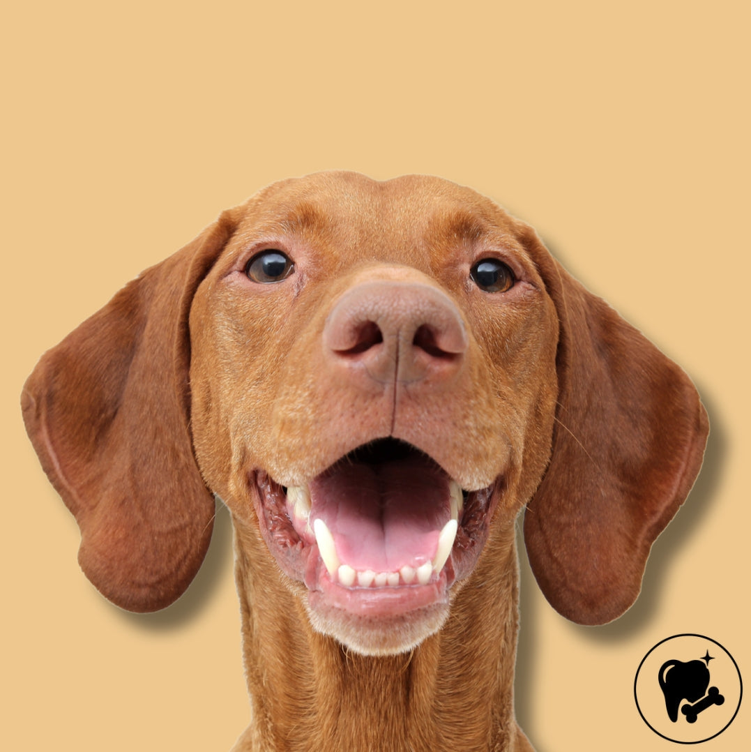 Dental Dog Chews