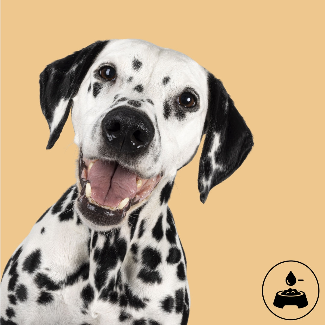 Low-Fat Dog Treats