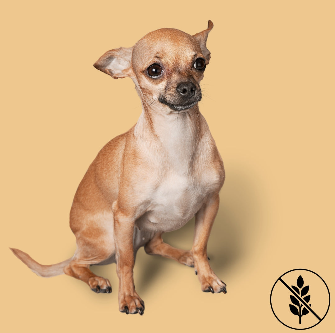Grain-Free Dog Treats