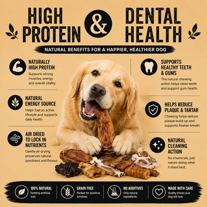Long-lasting natural dog treat selection box for dental health and training