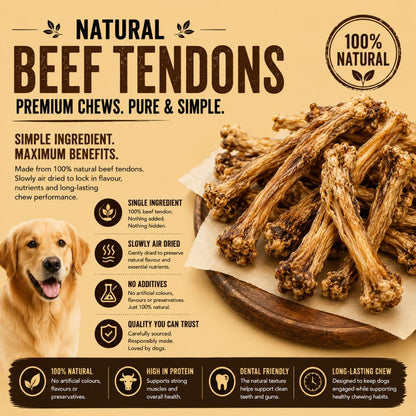 Close up of high protein beef tendon chew rich in glucosamine for joint support