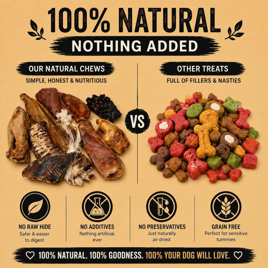 Close up of grain-free mixed natural dog chews including beef trachea and pig ears
