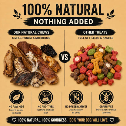 Close up of grain-free mixed natural dog chews including beef trachea and pig ears