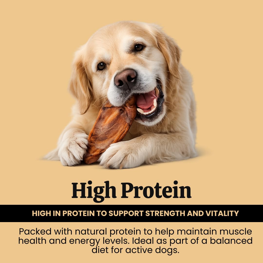 Feather and Fur 100% natural large pig ears dog chews