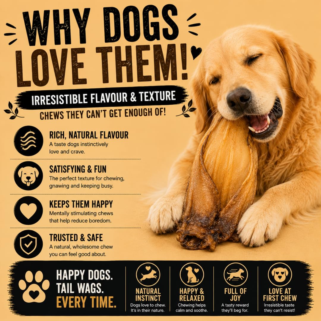 Healthy grain-free pig ear treats for dogs with no additives or fillers