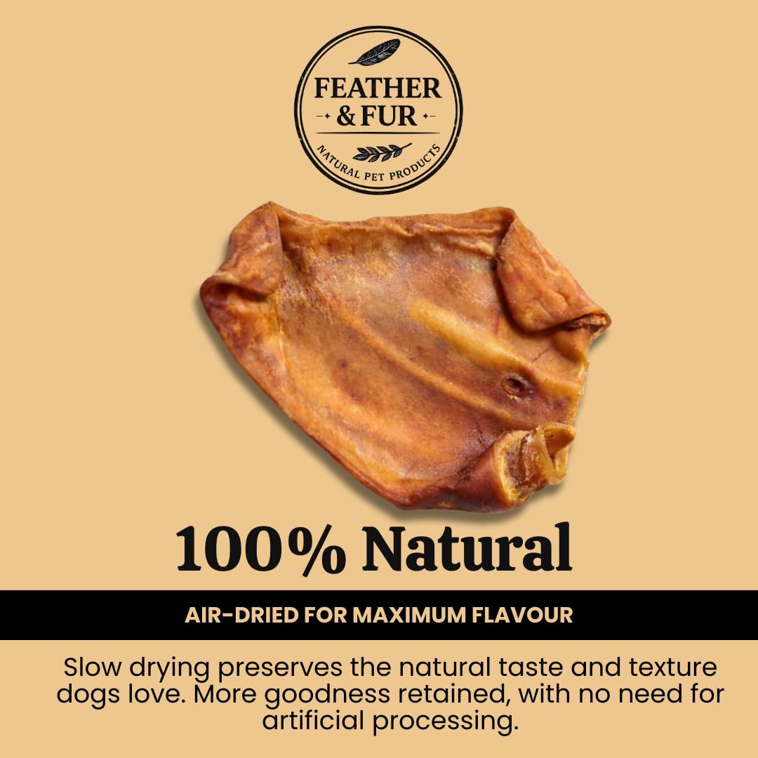 Grain-free and high protein large pig ear treats for dogs with sensitive stomachs