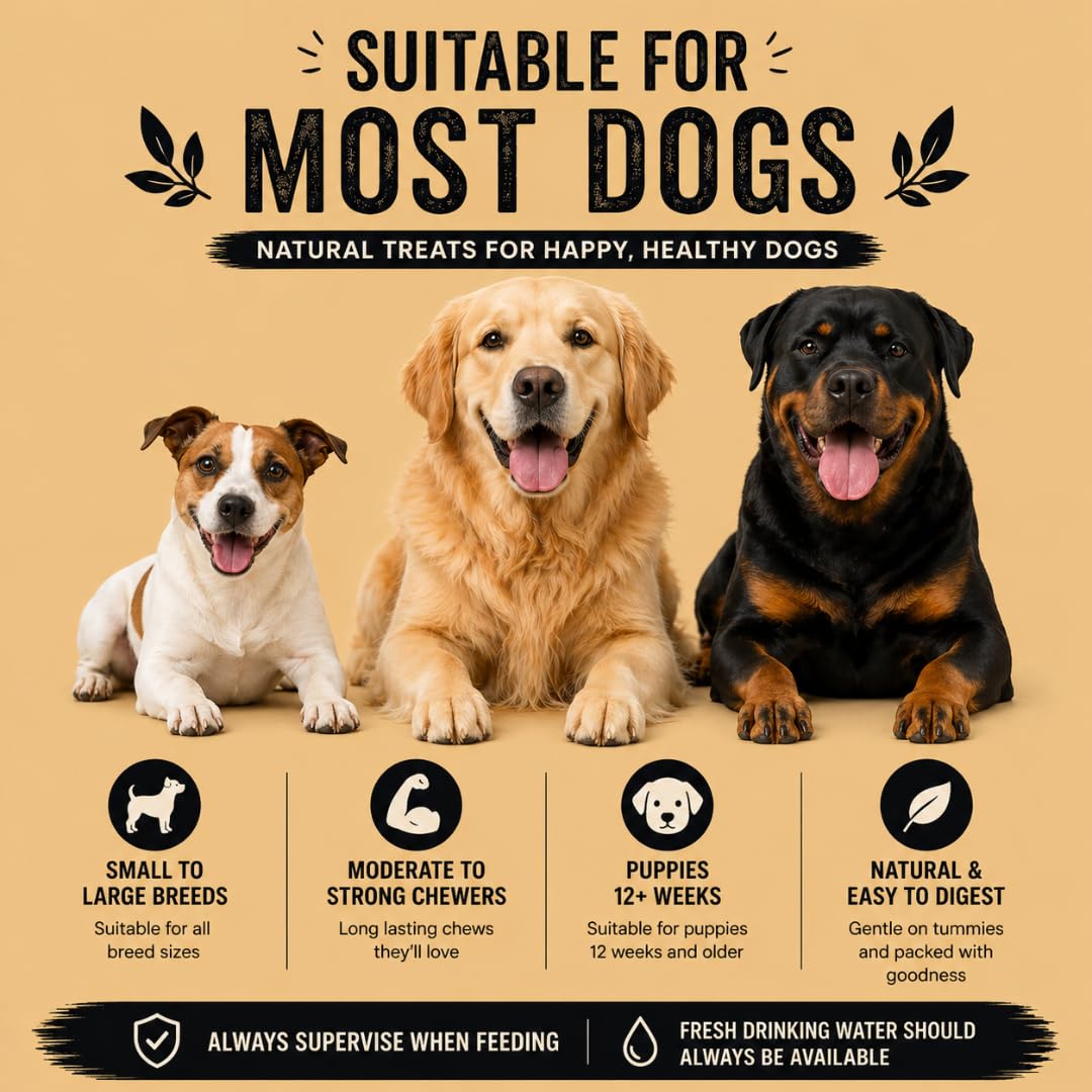 Long-lasting natural dog treat selection box for dental health and training