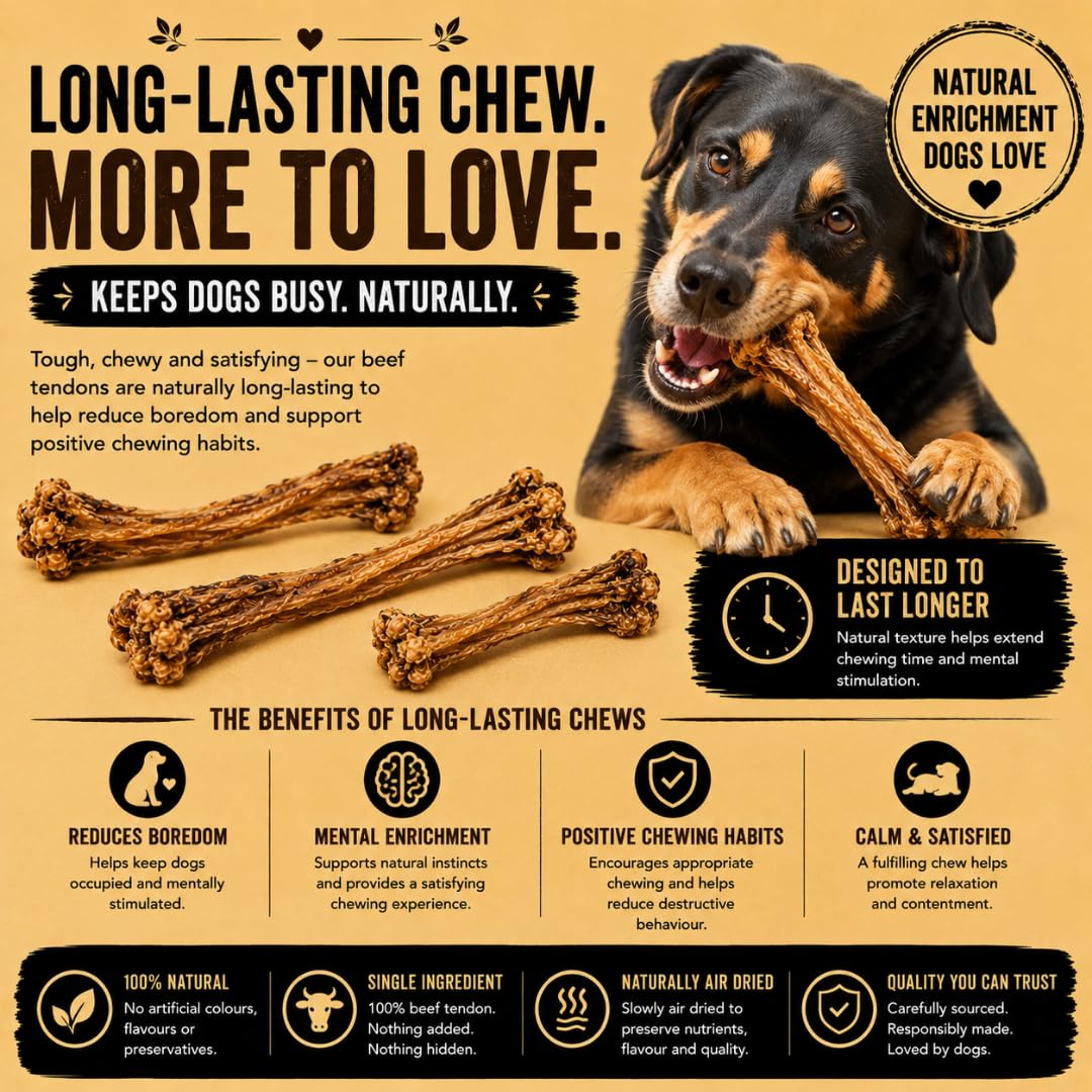 Close up of high protein beef tendon chew rich in glucosamine for joint support