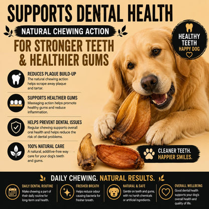 Close up of high protein and long lasting buffalo ear dental chews for dogs