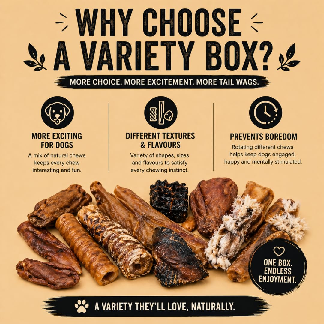 Feather and Fur 100% natural 1KG dog chew box full of mixed treats