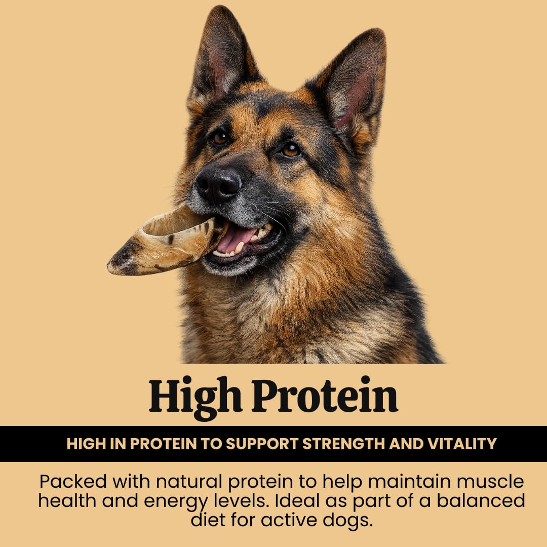 Close up of long-lasting beef hoof dental chew for strong chewers