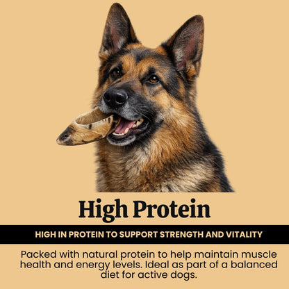 Close up of long-lasting beef hoof dental chew for strong chewers