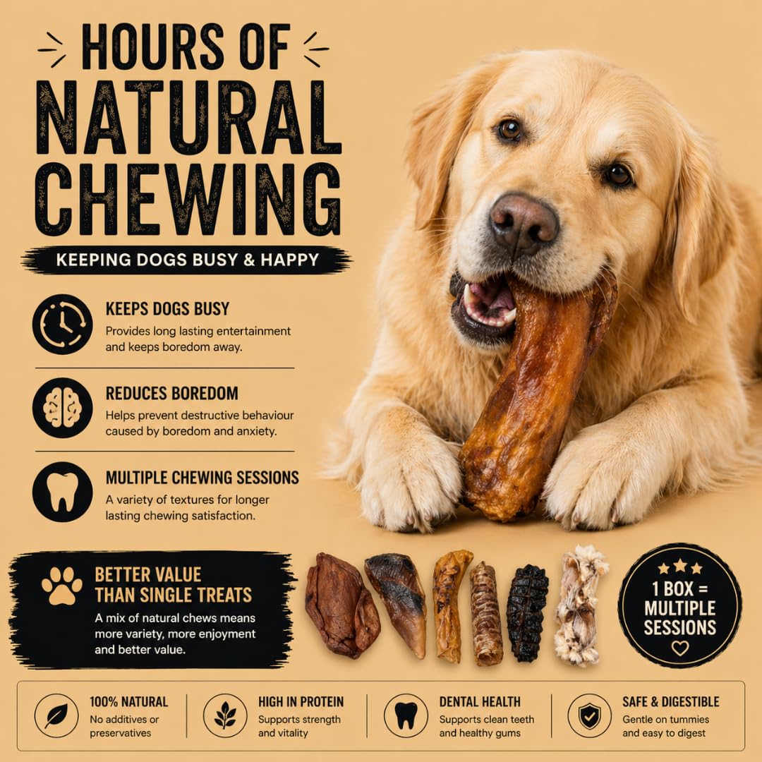 Feather and Fur 100% natural 1KG dog chew box full of mixed treats