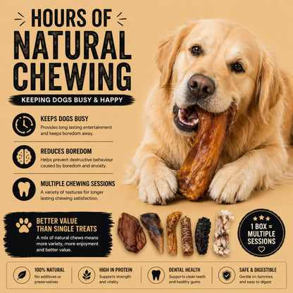 Feather and Fur 100% natural 1KG dog chew box full of mixed treats