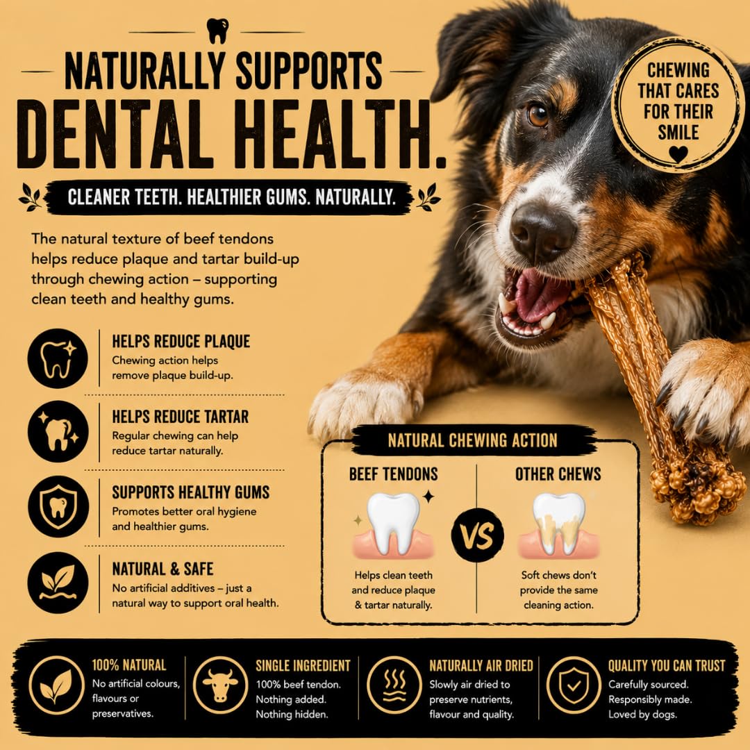 Long-lasting and grain-free beef tendon dental treats for sensitive dogs